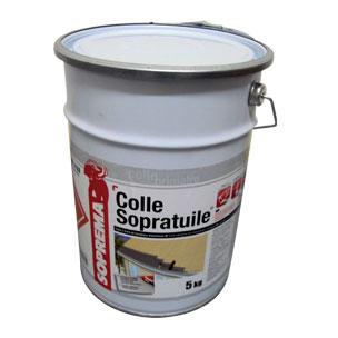 COLLE SOPRATUILE® (Glue)